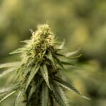 Онлайн торговля наркотиками и ее последствия img-2536.jpg